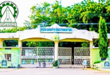 Entrance gate of Aliko Dangote University of Science and Technology in Kano State.
